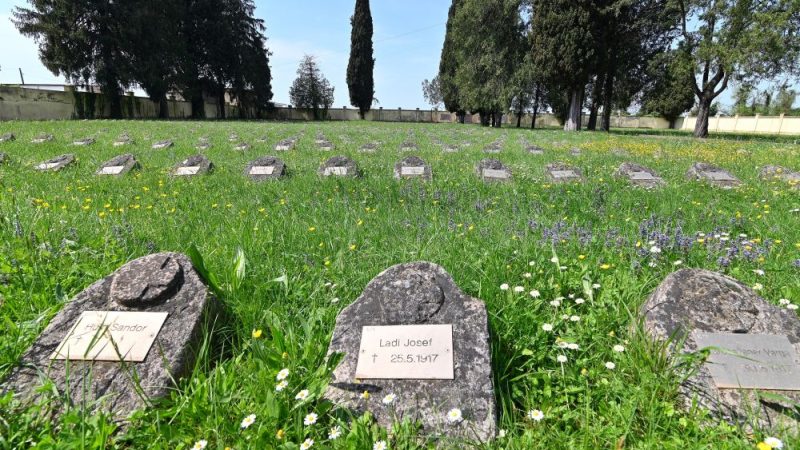 Grande Guerra, i testimoni muti